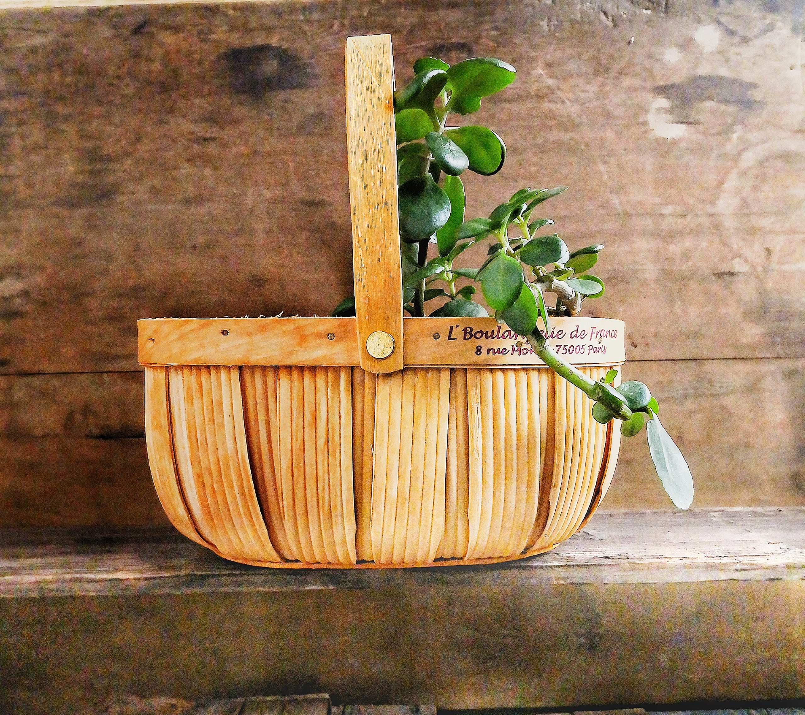 Small Wooden Basket with Handle 